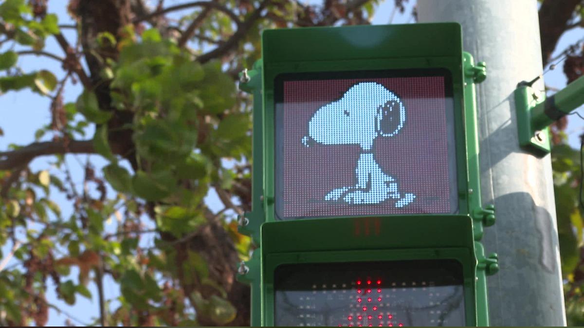 Taichung launches Snoopy-themed traffic signals and buses