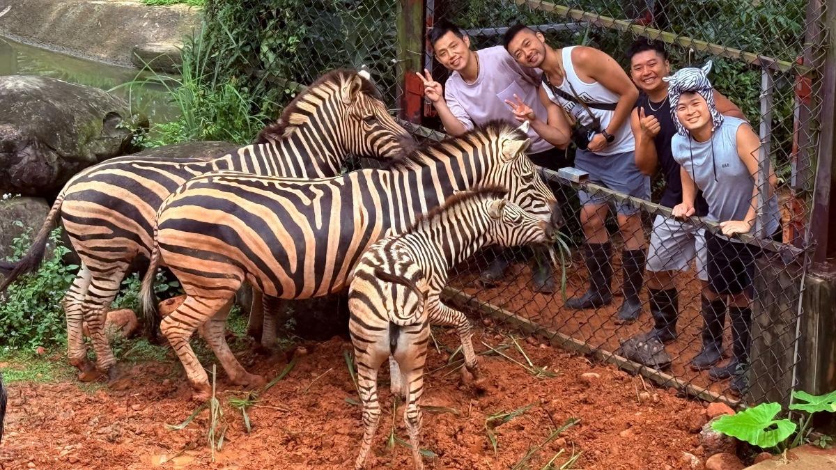 Taiwan tourist spots offer deals for those with horse-themed names (Courtesy of Leofoo Resort Guansh