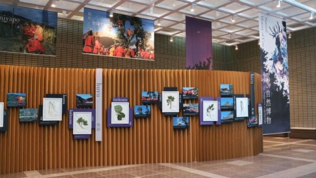 What to see at Taichung science museum during Lunar New Year (Courtesy of the National Museum of Nat