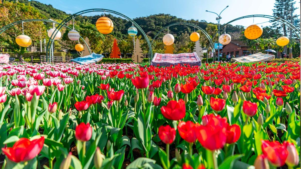 Shilin to host 2026 tulip festival (Courtesy of  Department of Information and Tourism, Taipei City 