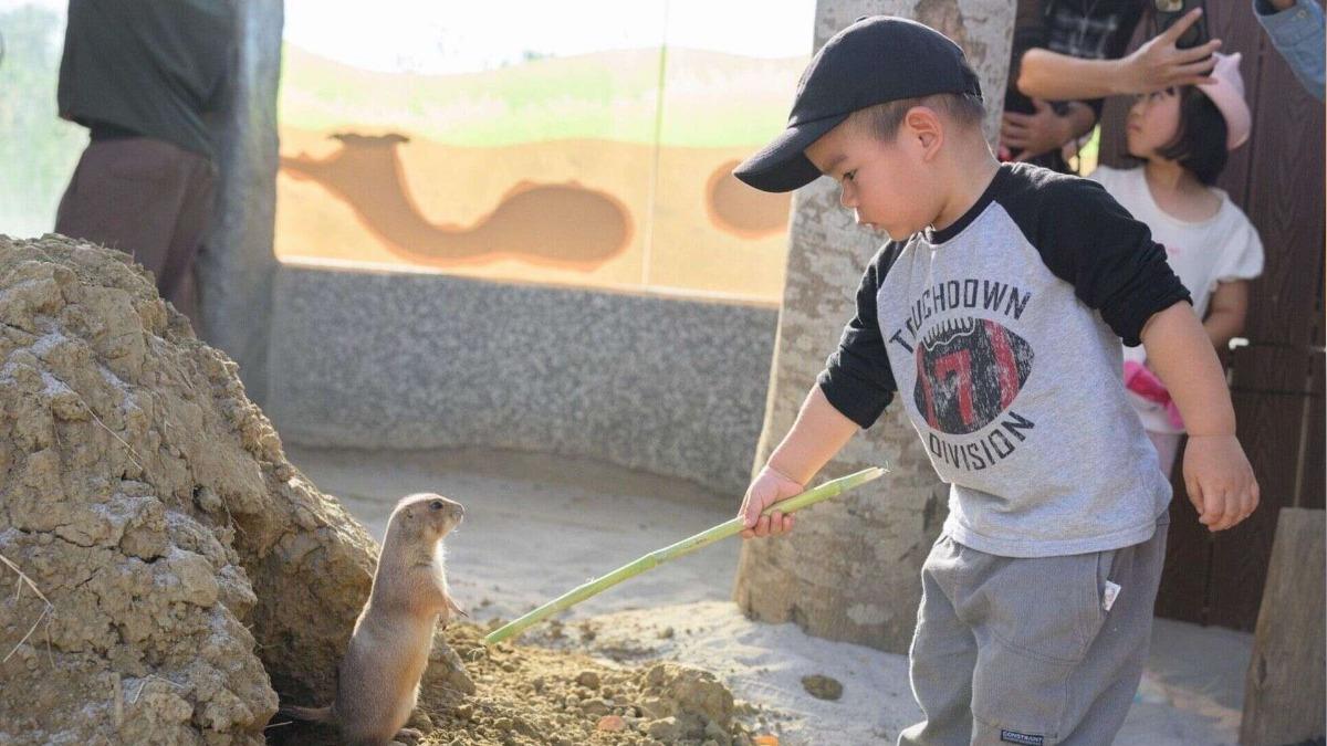 Kaohsiung opens Yessen Animal School (Courtesy of the Kaohsiung City Government. )