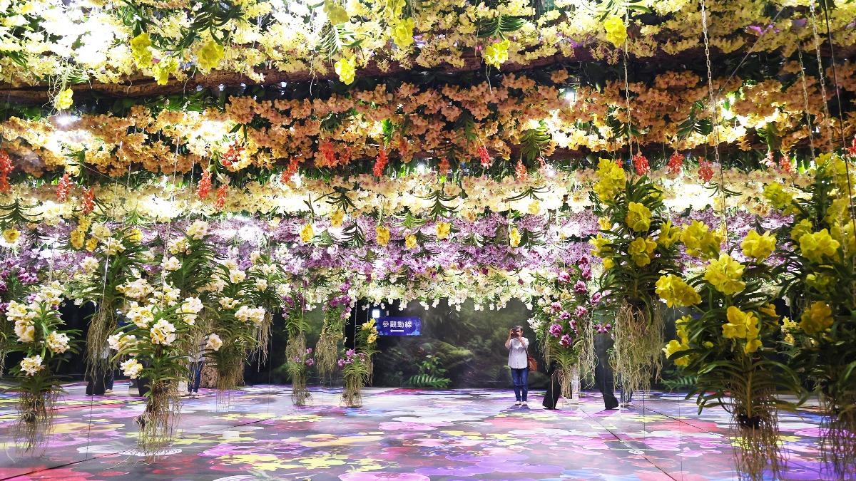 Tainan to host orchid show in 2026 (Courtesy of the Tainan City Government)