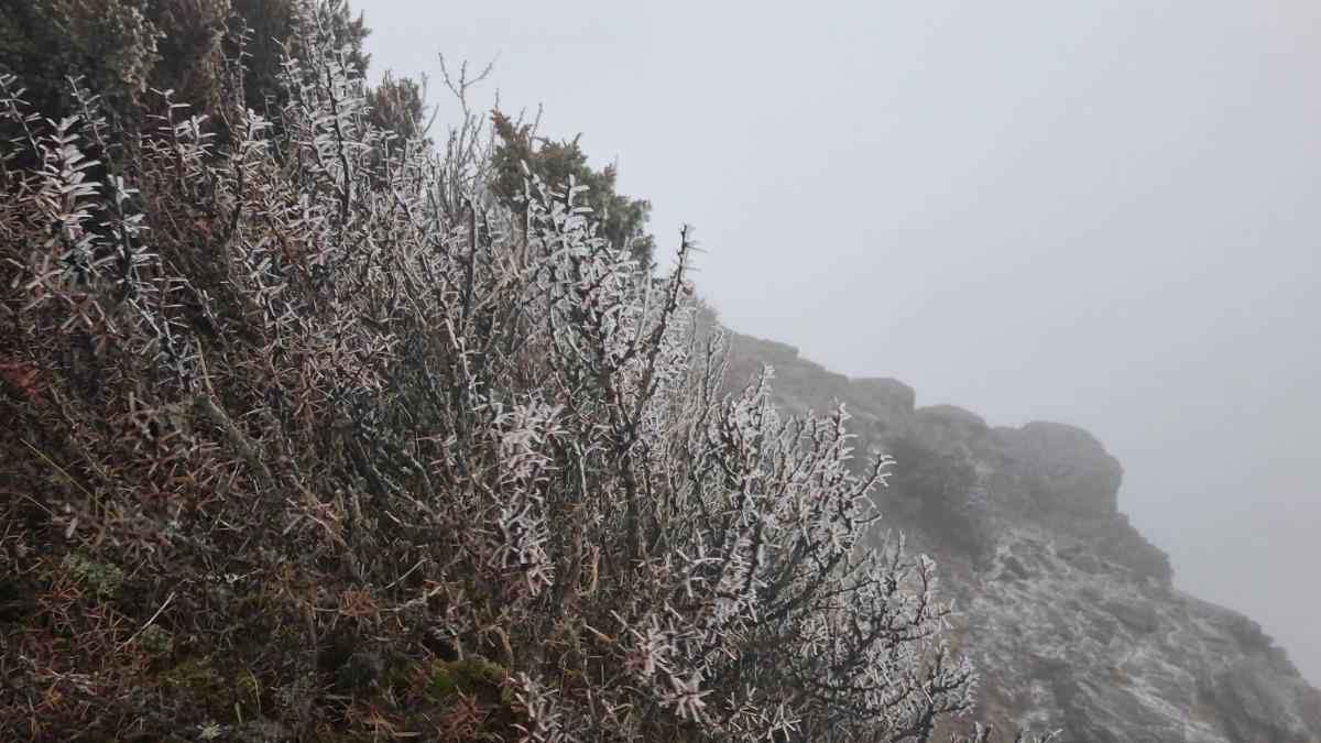 Snowfall hits Taiwan’s Yushan mountain (Courtesy of Yushan Weather Station)